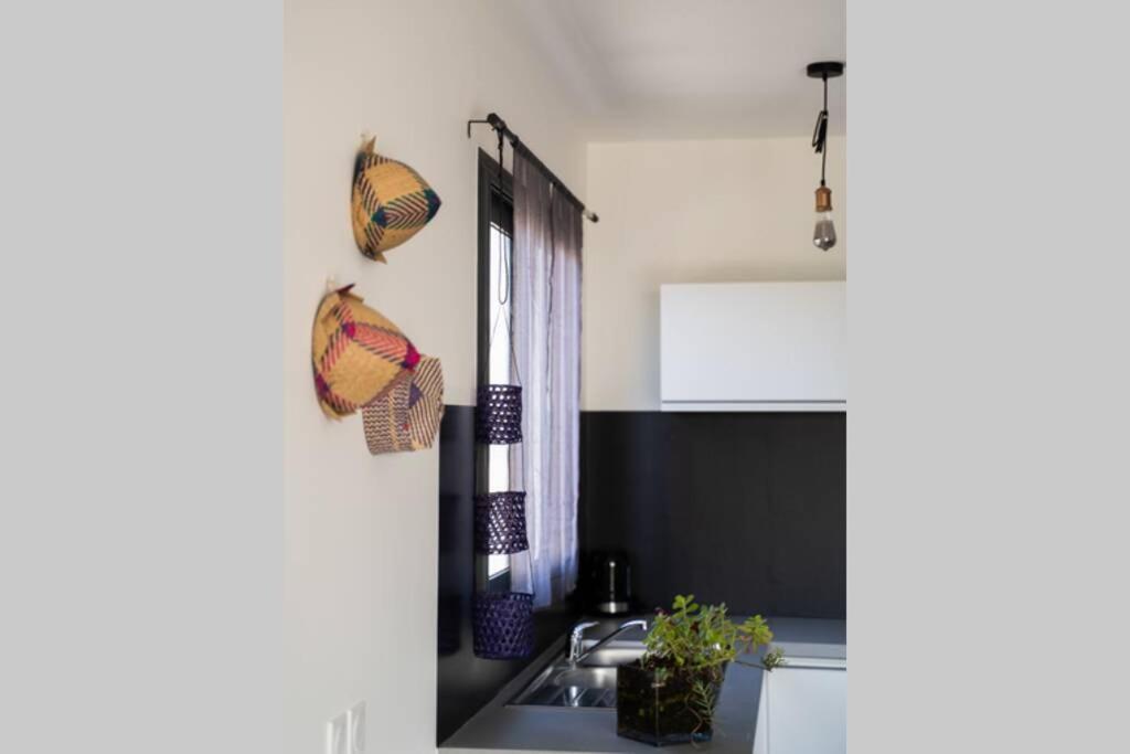 Appartement Ti-punch T3 climatisé Manapany les bains Extérieur photo