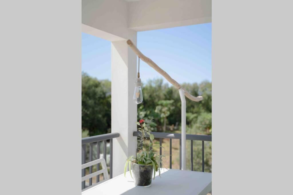 Appartement Ti-punch T3 climatisé Manapany les bains Extérieur photo